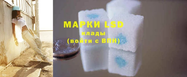 прущие грибы Абаза