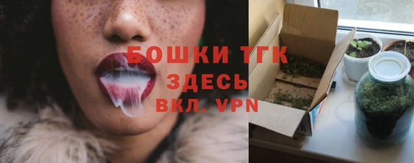 прущие грибы Абаза