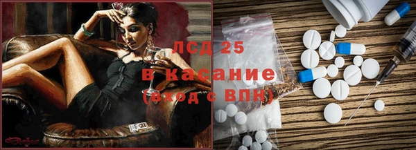 прущие грибы Абаза