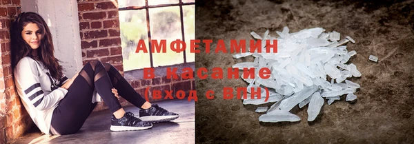 прущие грибы Абаза