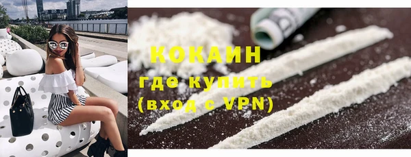 прущие грибы Абаза
