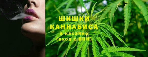 прущие грибы Абаза