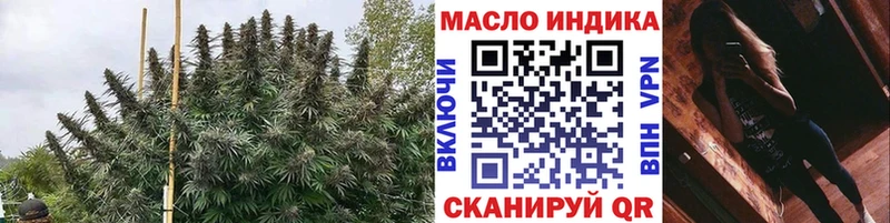 MEGA ONION  Алексин  Дистиллят ТГК жижа  где продают  