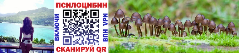 Псилоцибиновые грибы Cubensis  Алексин 