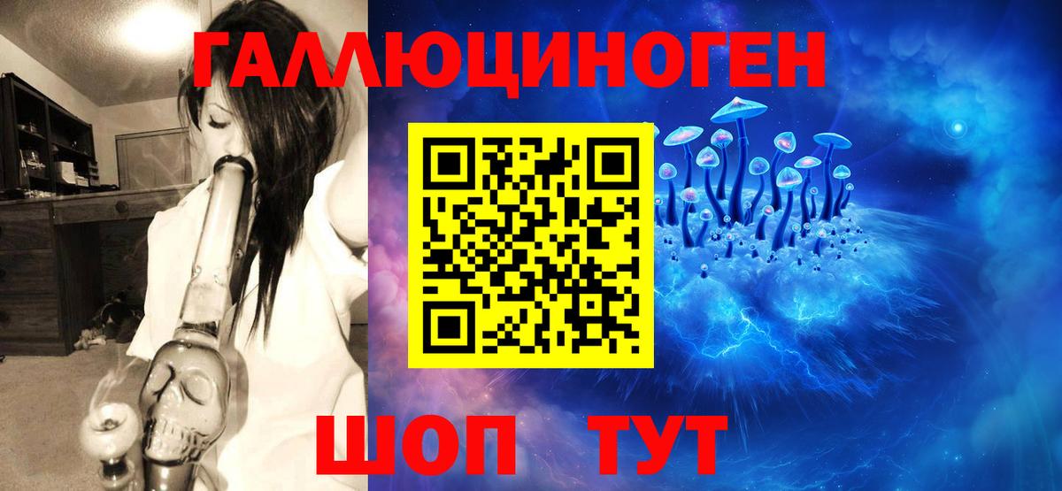 Алексин  Псилоцибиновые грибы ЛСД  Вход с VPN 